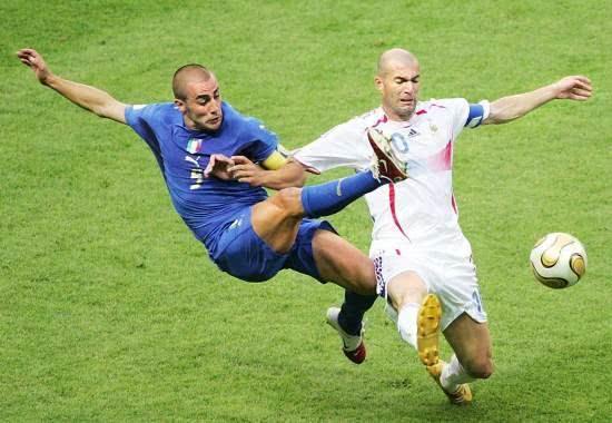 不仅促进了 不仅促进了