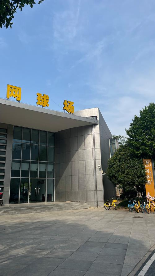 琴斯尼因在